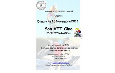 VTT Gino